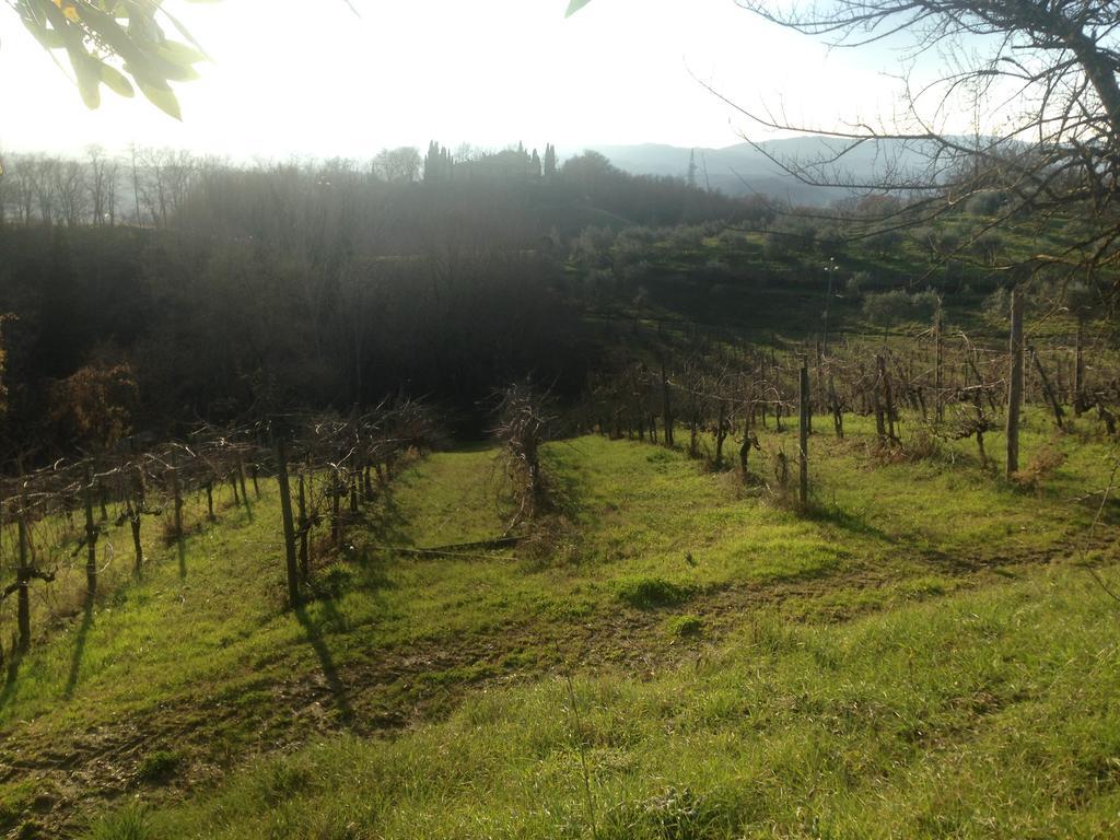 Podere San Lorenzo Terranuova Bracciolini Buitenkant foto